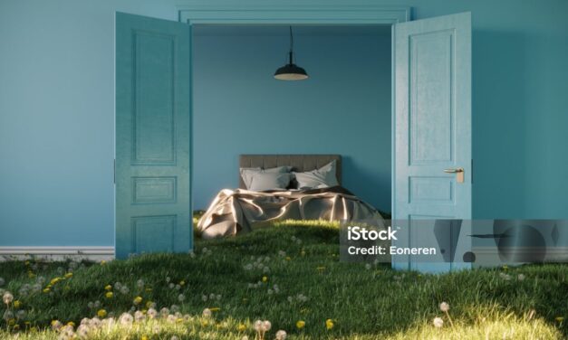 Aménager une chambre bleu canard : conseils et inspirations