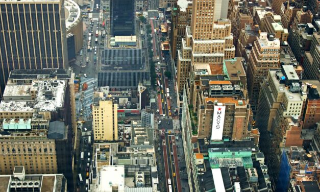 Comprendre les revenus de capitaux mobiliers pour maximiser votre patrimoine