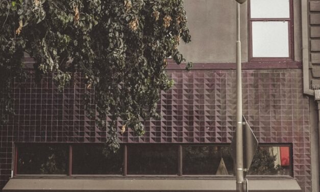 L&rsquo;avenir du commerce brick and mortar dans un monde numérique