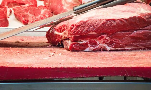 Viande séparée mécaniquement : investissez dans des machines de qualité